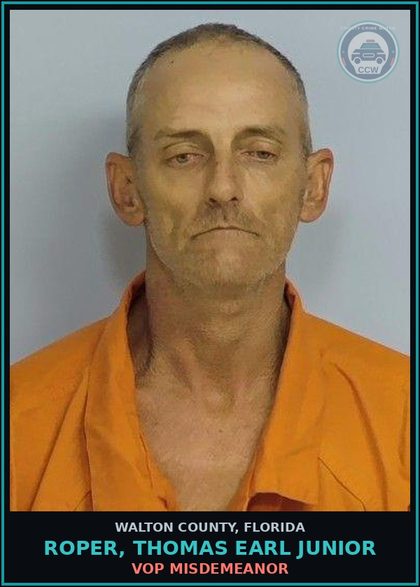 CCW arrest card for ROPER, THOMAS EARL Junior in Walton County: VOP Misdemeanor
