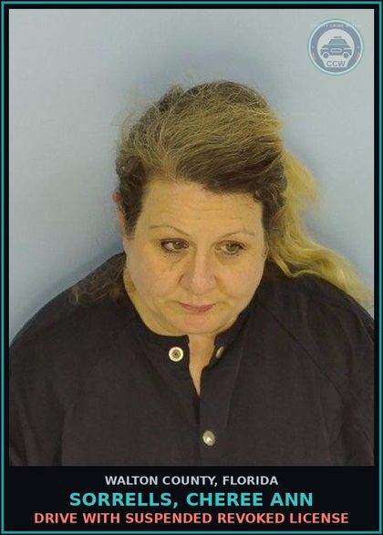 CCW arrest card for SORRELLS, CHEREE ANN in Walton County: Drive With Suspended Revoked License