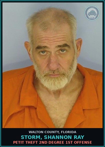 CCW arrest card for STORM, SHANNON RAY in Walton County: Petit Theft 2nd Degree 1st Offense