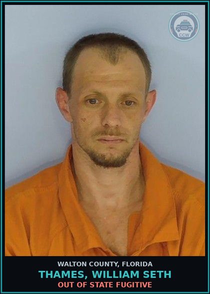 CCW arrest card for THAMES, WILLIAM SETH in Walton County: Out Of State Fugitive