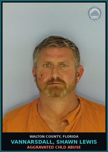 CCW arrest card for VANNARSDALL, SHAWN LEWIS in Walton County: Touch Or Strike