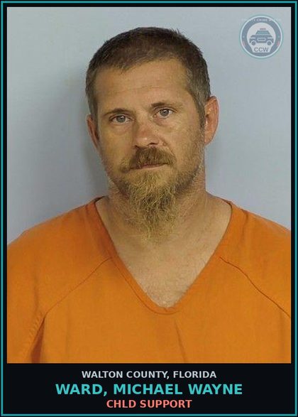 CCW arrest card for WARD, MICHAEL WAYNE in Walton County: chld Support