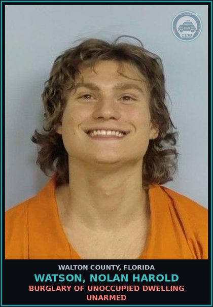 CCW arrest card for WATSON, NOLAN HAROLD in Walton County: Petit Theft 2nd Degree 1st Offense