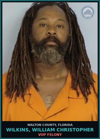 CCW arrest card for WILKINS, WILLIAM CHRISTOPHER in Walton County: VOP Felony