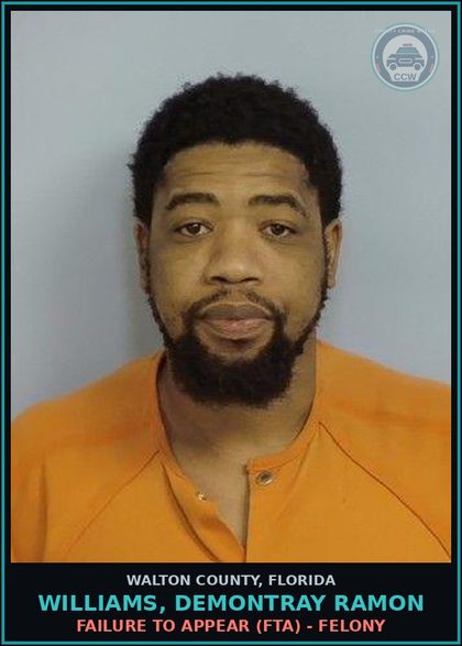 CCW arrest card for WILLIAMS, DEMONTRAY RAMON in Walton County: Failure To Appear (FTA) - Felony