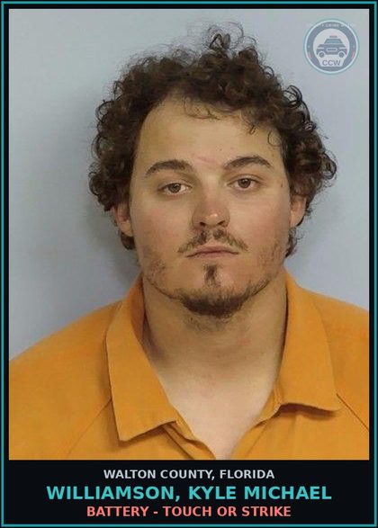 CCW arrest card for WILLIAMSON, KYLE MICHAEL in Walton County: Battery - Touch or Strike