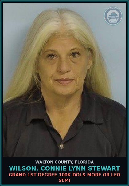 CCW arrest card for WILSON, CONNIE LYNN STEWART in Walton County: GRAND 1ST DEGREE 100K DOLS MORE OR LEO SEMI