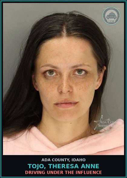 CCW arrest card for Tojo, Theresa Anne in Ada County: Driving Under the Influence