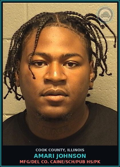 CCW arrest card for Amari Johnson in Cook County: MFG/DEL COCAINE/SCH/PUB HS/PK