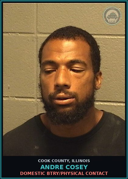 CCW arrest card for Andre Cosey in Cook County: DOMESTIC BTRY/PHYSICAL CONTACT