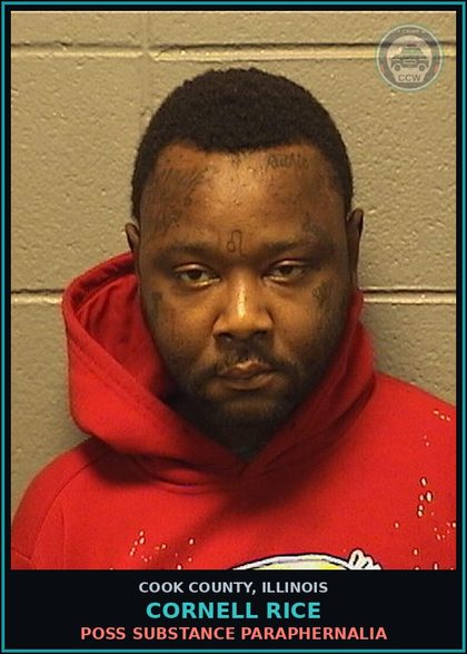 CCW arrest card for Cornell Rice in Cook County: RESISTING/OBSTRUCT/PC OFF/CORR EMP/FRFTR