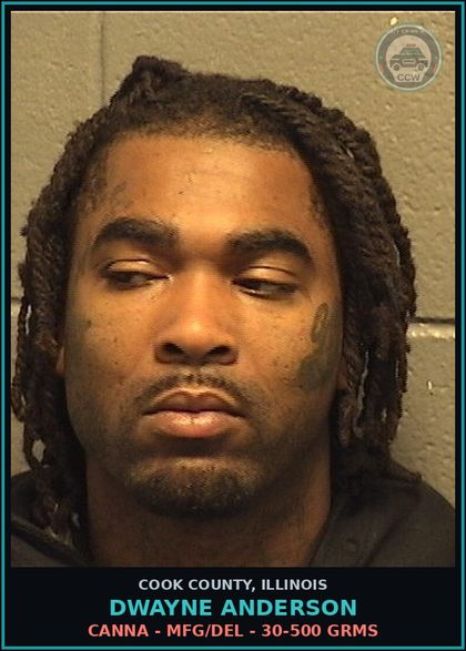 CCW arrest card for Dwayne Anderson in Cook County: Canna - MFG/DEL - 30-500 GRMS