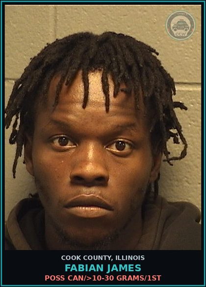 CCW arrest card for FABIAN JAMES in Cook County: POSS CAN/>10-30 GRAMS/1ST