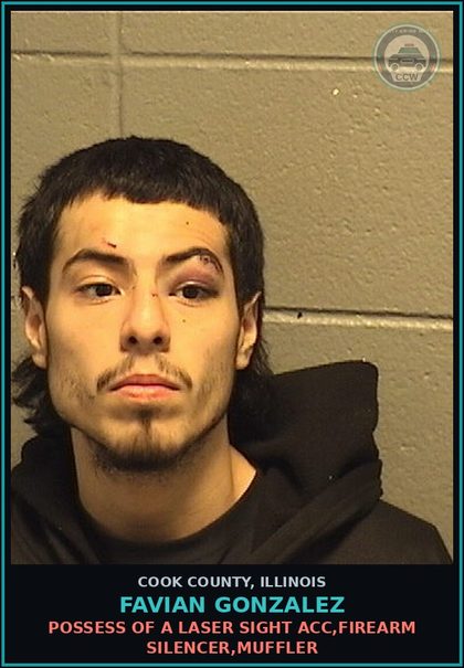 CCW arrest card for FAVIAN GONZALEZ in Cook County: RECEIVE/POSSESS/SELL STOLEN VEHICLE