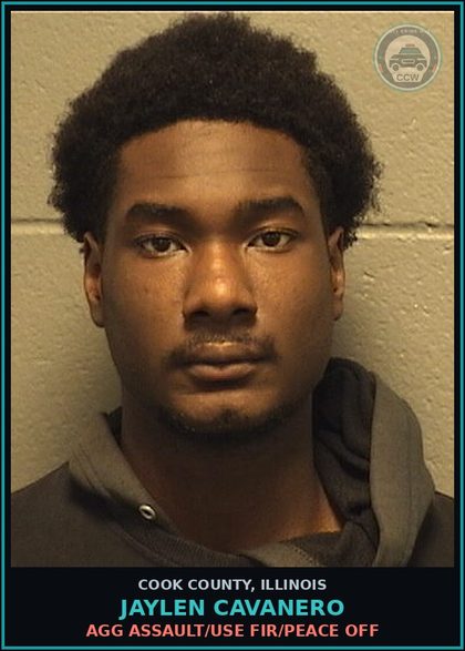 CCW arrest card for JAYLEN CAVANERO in Cook County: CRIM DMG/GOVT PROP/>$500-$10K