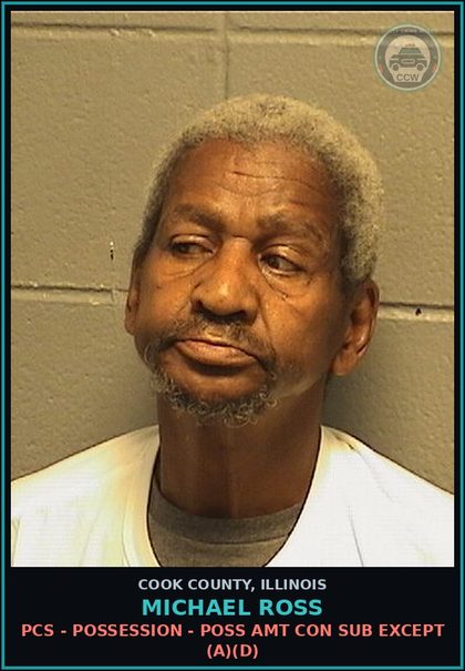 CCW arrest card for Michael Ross in Cook County: RETAIL THEFT/DISP MERCH/<$300/PRECONV