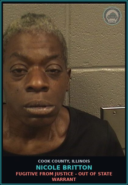 CCW arrest card for Nicole Britton in Cook County: FUGITIVE FROM JUSTICE - OUT OF STATE WARRANT