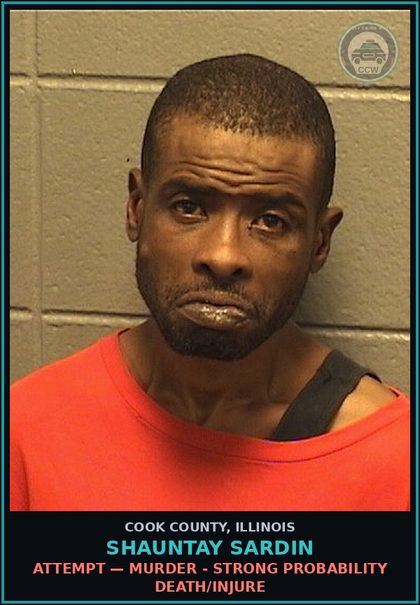 CCW arrest card for Shauntay Sardin in Cook County: AGG BATTERY/DISCHARGE FIREARM