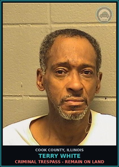 CCW arrest card for Terry White in Cook County: CRIMINAL TRESPASS - REMAIN ON LAND