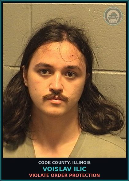 CCW arrest card for Voislav Ilic in Cook County: VIOLATE ORDER PROTECTION