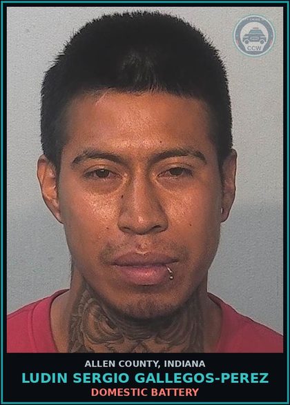 CCW arrest card for Ludin Sergio Gallegos-Perez in Allen County: DOMESTIC BATTERY