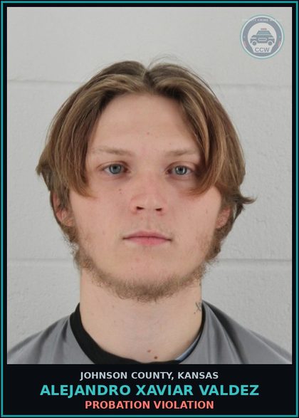 CCW arrest card for ALEJANDRO XAVIAR VALDEZ in Johnson County: PROBATION VIOLATION