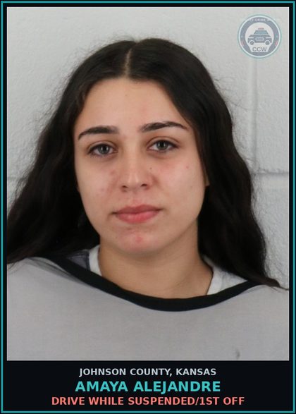 CCW arrest card for AMAYA ALEJANDRE in Johnson County: DRIVE WHILE SUSPENDED/1ST OFF