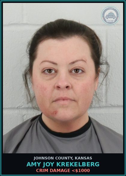 CCW arrest card for AMY JOY KREKELBERG in Johnson County: CRIM DAMAGE <$1000
