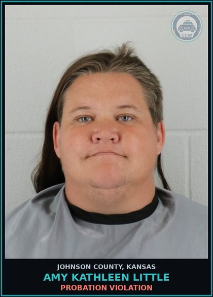 CCW arrest card for AMY KATHLEEN LITTLE in Johnson County: PROBATION VIOLATION