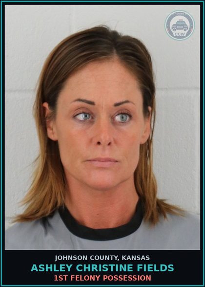 CCW arrest card for ASHLEY CHRISTINE FIELDS in Johnson County: 1ST FELONY POSSESSION