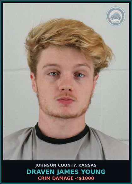CCW arrest card for DRAVEN JAMES YOUNG in Johnson County: CRIM DAMAGE <$1000