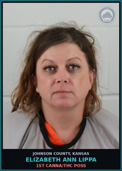 CCW arrest card for ELIZABETH ANN LIPPA in Johnson County: 1ST Canna/THC POSS