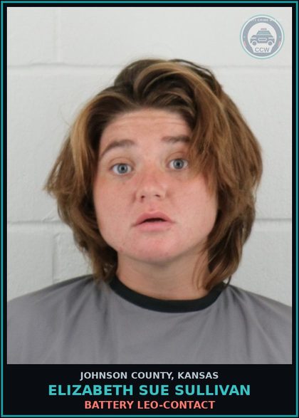 CCW arrest card for ELIZABETH SUE SULLIVAN in Johnson County: BATTERY LEO-CONTACT
