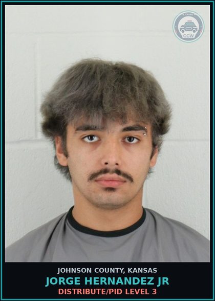 CCW arrest card for JORGE HERNANDEZ JR in Johnson County: DISTRIBUTE/PID LEVEL 3