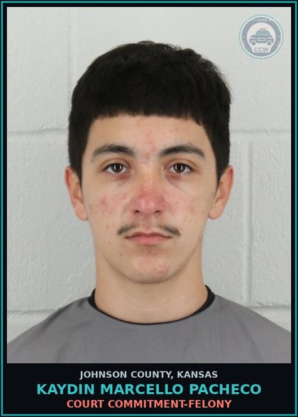 CCW arrest card for KAYDIN MARCELLO PACHECO in Johnson County: COURT COMMITMENT-FELONY