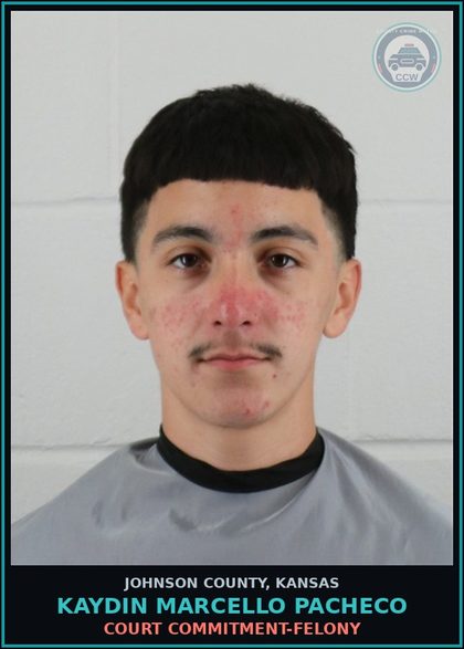 CCW arrest card for KAYDIN MARCELLO PACHECO in Johnson County: COURT COMMITMENT-FELONY