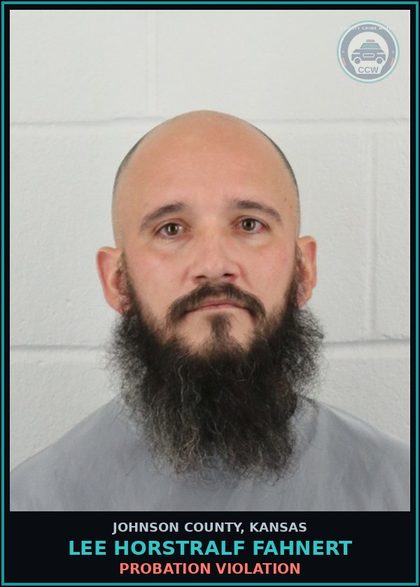 CCW arrest card for LEE HORSTRALF FAHNERT in Johnson County: PROBATION VIOLATION
