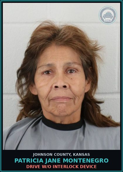 CCW arrest card for PATRICIA JANE MONTENEGRO in Johnson County: DRIVE W/O INTERLOCK DEVICE