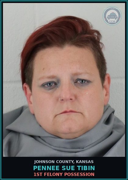 CCW arrest card for PENNEE SUE TIBIN in Johnson County: 1ST FELONY POSSESSION