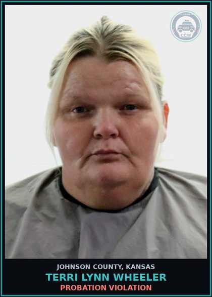 CCW arrest card for TERRI LYNN WHEELER in Johnson County: PROBATION VIOLATION