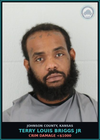 CCW arrest card for TERRY LOUIS BRIGGS JR in Johnson County: CRIM DAMAGE <$1000