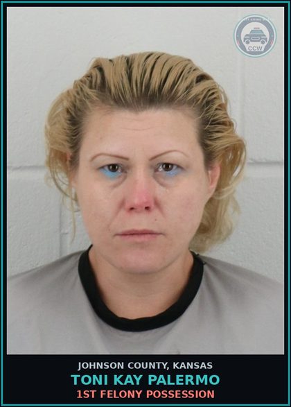 CCW arrest card for TONI KAY PALERMO in Johnson County: 1ST FELONY POSSESSION