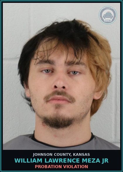 CCW arrest card for WILLIAM LAWRENCE MEZA JR in Johnson County: PROBATION VIOLATION