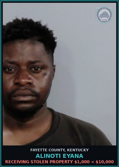 CCW arrest card for ALINOTI EYANA in Fayette County: RECEIVING STOLEN PROPERTY $1,000 < $10,000