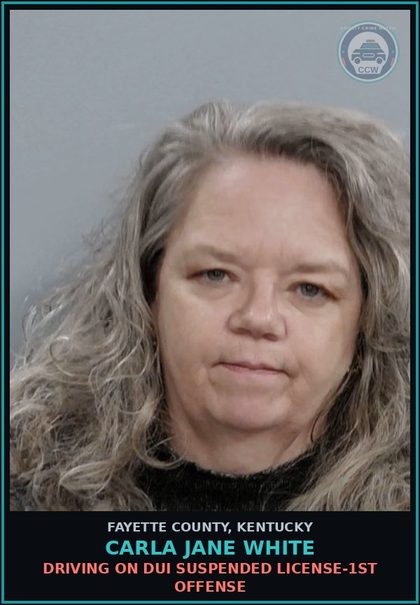 CCW arrest card for CARLA JANE WHITE in Fayette County: WANTON ENDANGERMENT-2ND DEGREE