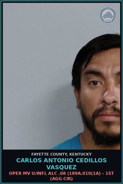 CCW arrest card for CARLOS ANTONIO CEDILLOS VASQUEZ in Fayette County: OPER MV U/INFL ALC .08 (189A.010(1A) - 1ST (AGG CIR)
