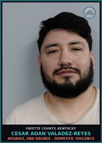 CCW arrest card for CESAR ADAN VALADEZ-REYES in Fayette County: ASSAULT, 2ND DEGREE - DOMESTIC VIOLENCE