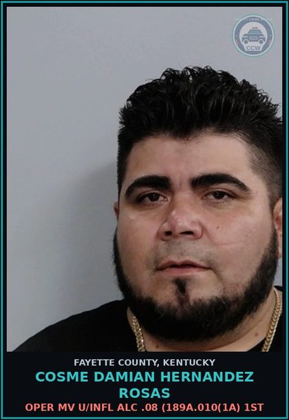 CCW arrest card for COSME DAMIAN HERNANDEZ ROSAS in Fayette County: OPER MV U/INFL ALC .08 (189A.010(1A) 1ST