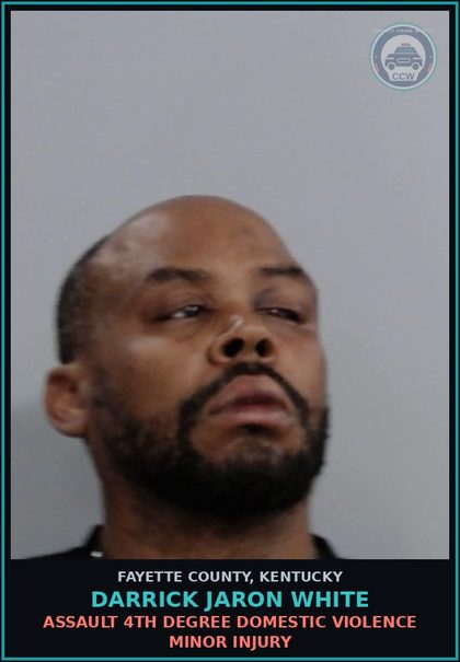 CCW arrest card for DARRICK JARON WHITE in Fayette County: ASSAULT 4TH DEGREE DOMESTIC VIOLENCE MINOR INJURY
