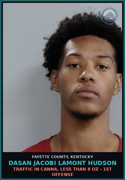 CCW arrest card for DASAN JACOBI LAMONT HUDSON in Fayette County: TRAFFIC IN Canna, LESS THAN 8 OZ - 1ST OFFENSE